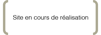 site de aeronef communication en cours de réalisation